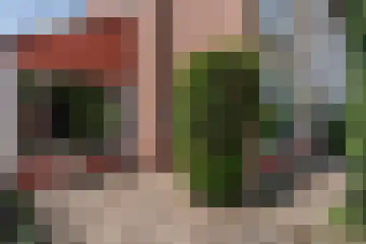 Willem Alexanderplein 8 Sint-Michielsgestel thumbnail 37