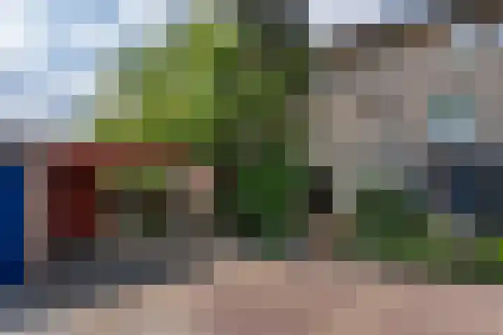 Willem Alexanderplein 8 Sint-Michielsgestel thumbnail 39