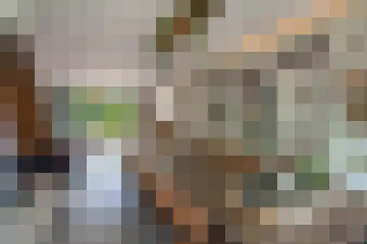 Willem Alexanderplein 8 Sint-Michielsgestel thumbnail 4