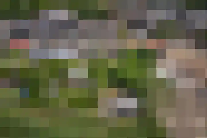 Willem Alexanderplein 8 Sint-Michielsgestel thumbnail 42