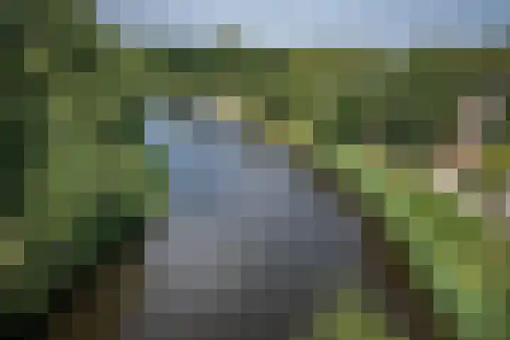 Willem Alexanderplein 8 Sint-Michielsgestel thumbnail 43