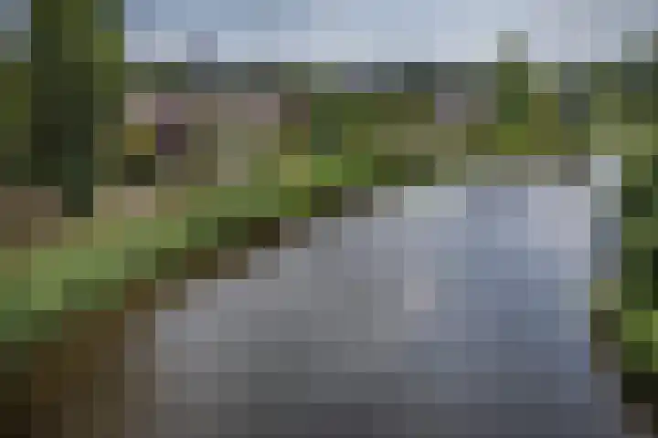 Willem Alexanderplein 8 Sint-Michielsgestel thumbnail 44