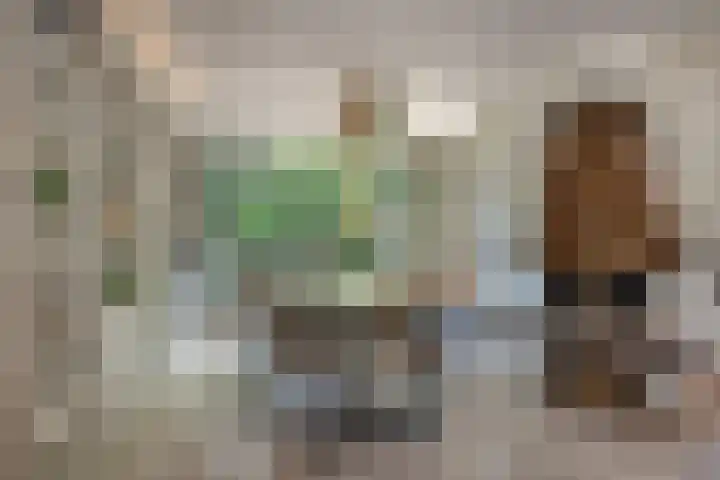 Willem Alexanderplein 8 Sint-Michielsgestel thumbnail 5