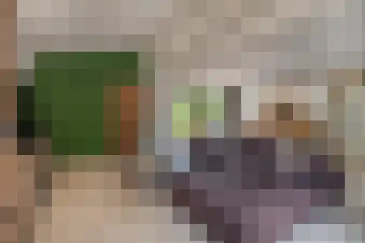 Willem Alexanderplein 8 Sint-Michielsgestel thumbnail 6