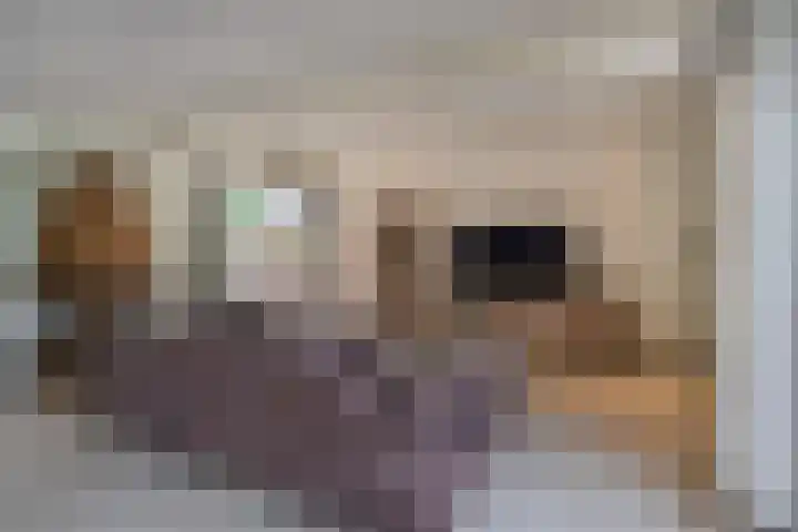 Willem Alexanderplein 8 Sint-Michielsgestel thumbnail 8