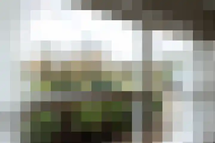 Willem Alexandersingel 12 Castricum thumbnail 13