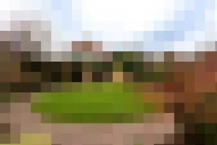 Willem Alexandersingel 12 Castricum thumbnail 36