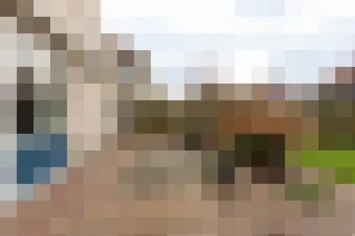 Willem Alexandersingel 12 Castricum thumbnail 37