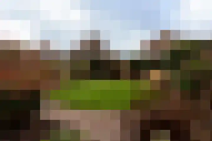 Willem Alexandersingel 12 Castricum thumbnail 39