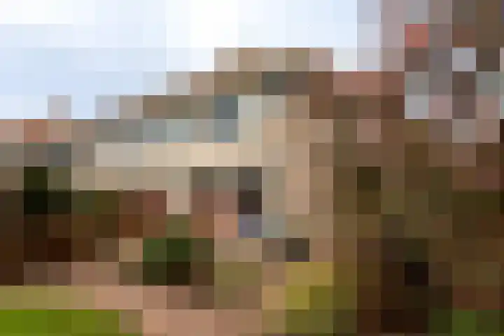 Willem Alexandersingel 12 Castricum thumbnail 40
