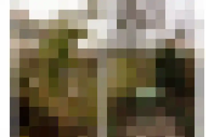 Willem Alexandersingel 12 Castricum thumbnail 41