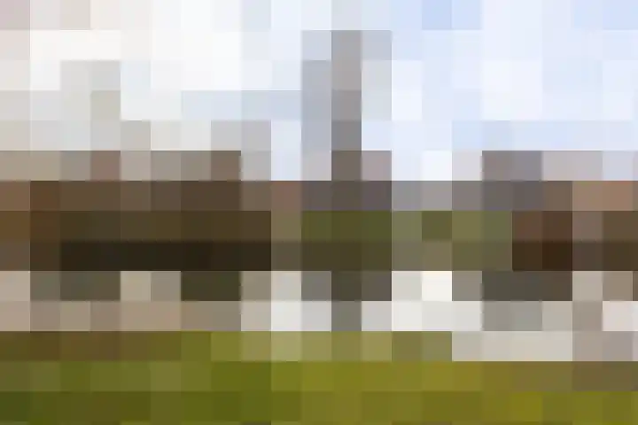 Willem Alexandersingel 12 Castricum thumbnail 44