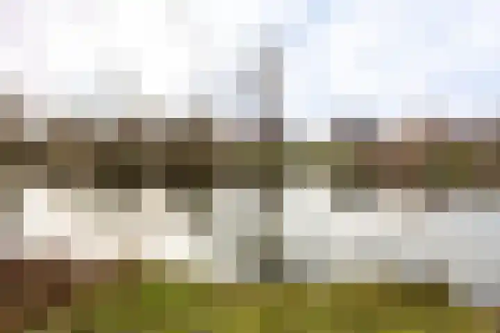 Willem Alexandersingel 12 Castricum thumbnail 45