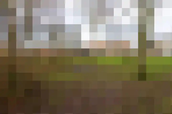 Willem Alexandersingel 12 Castricum thumbnail 47