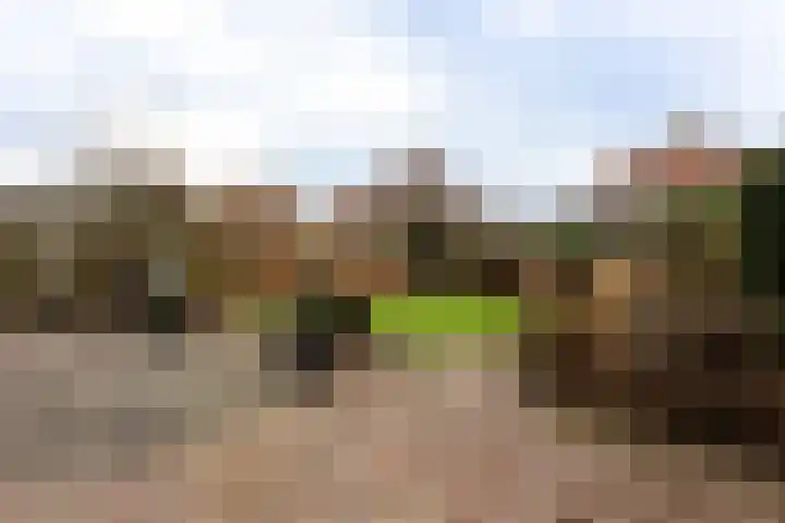 Willem Alexandersingel 12 Castricum thumbnail 5