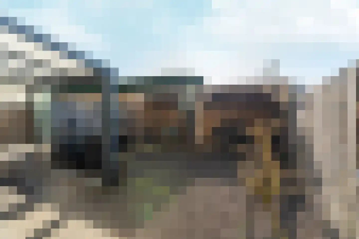 Willem-Alexanderstraat 11 Oeffelt thumbnail 17