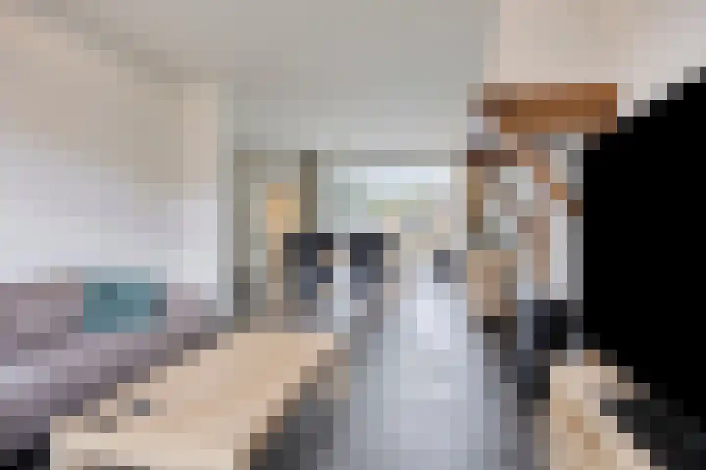 Willem-Alexanderstraat 13 Mierlo thumbnail 17
