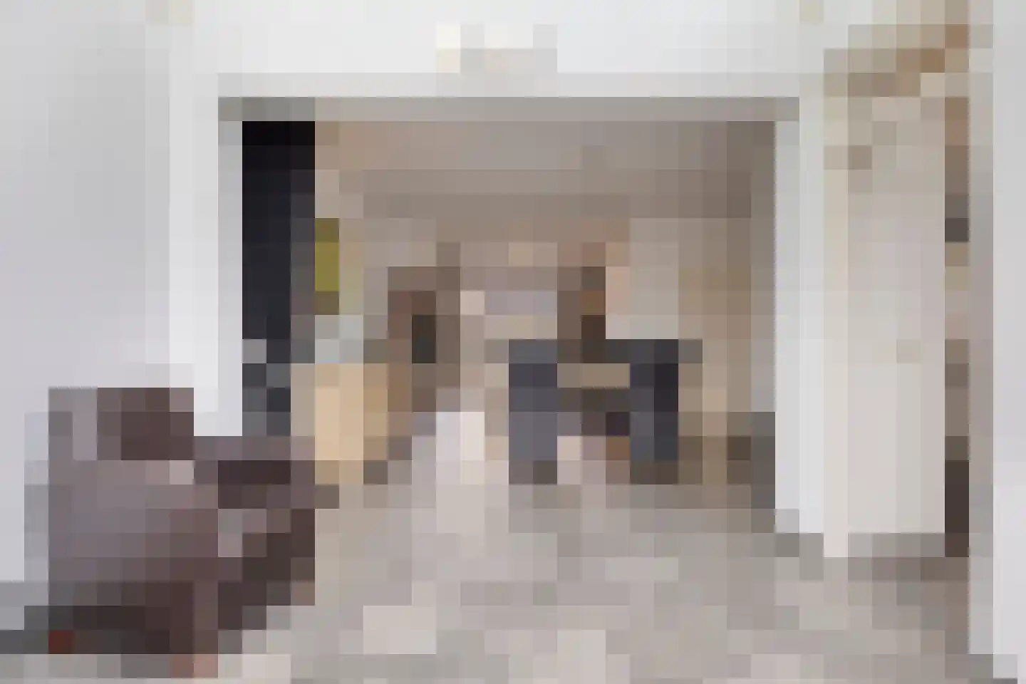 Willem-Alexanderstraat 13 Mierlo thumbnail 20