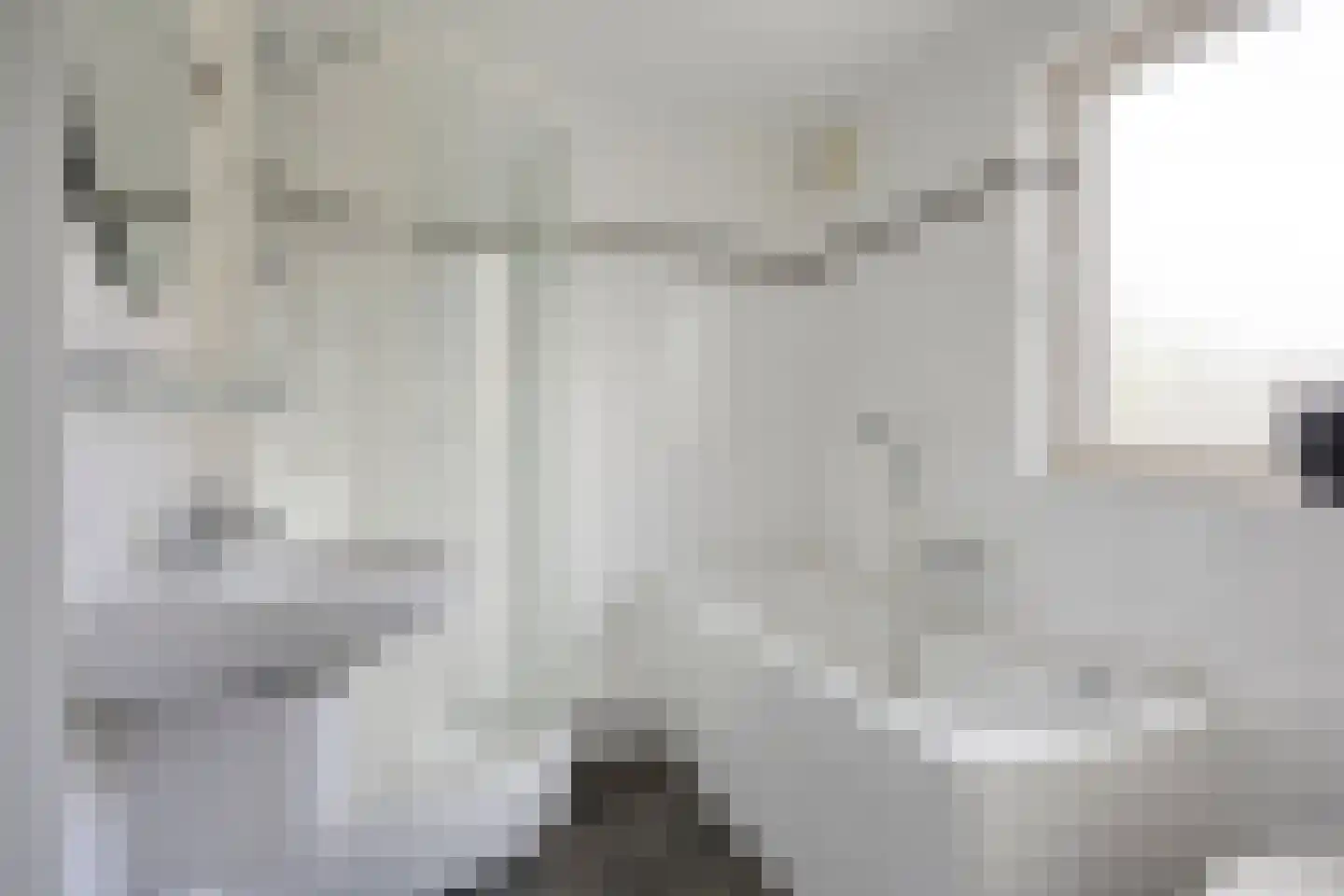 Willem-Alexanderstraat 13 Mierlo thumbnail 31