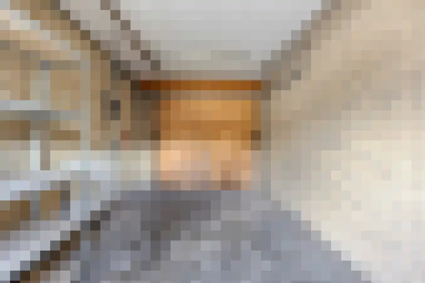 Willem-Alexanderstraat 13 Mierlo thumbnail 40