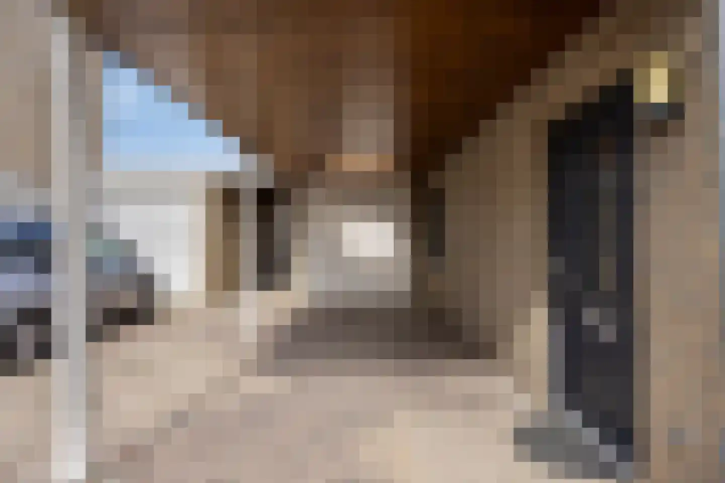 Willem-Alexanderstraat 13 Mierlo thumbnail 8