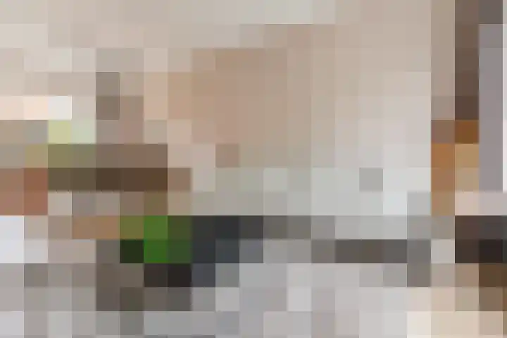 Willem Alexanderstraat 15 Lith thumbnail 10