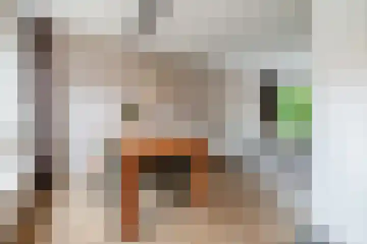Willem Alexanderstraat 15 Lith thumbnail 13