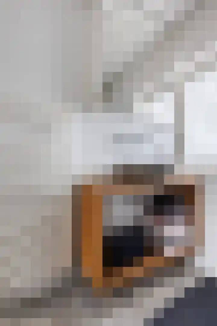Willem Alexanderstraat 15 Lith thumbnail 27