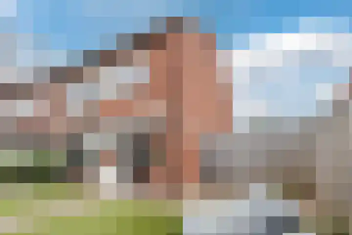 Willem Alexanderstraat 15 Lith thumbnail 37