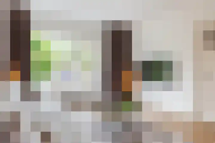 Willem Alexanderstraat 15 Lith thumbnail 8