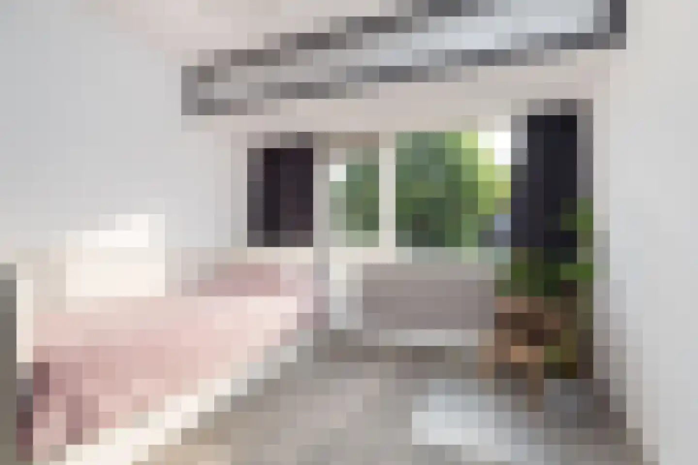 Willem Alexanderstraat 15 Sprang-Capelle thumbnail 25