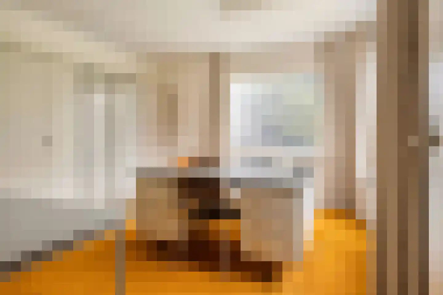 Willem Alexanderstraat 16 Kloosterzande thumbnail 12
