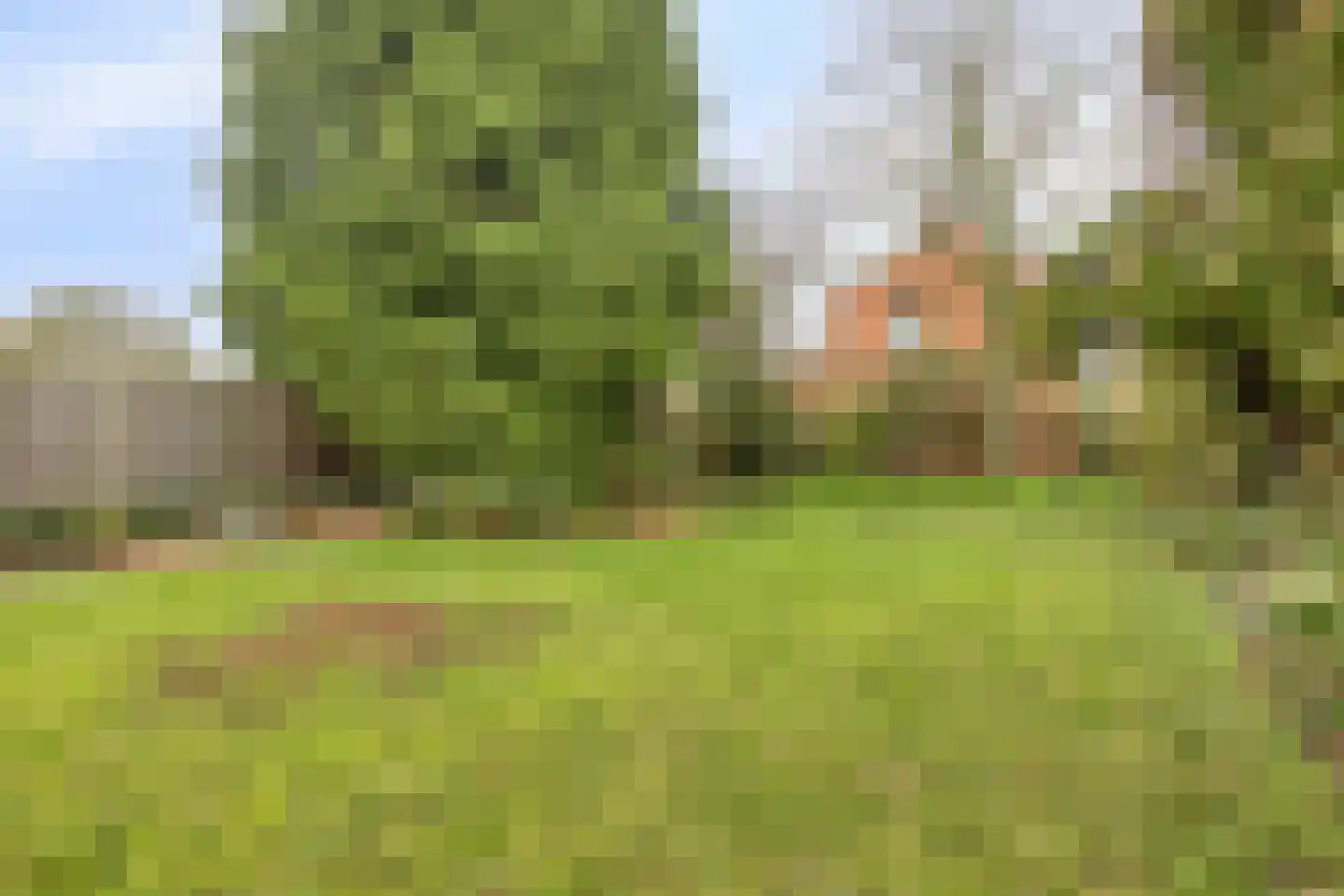 Willem Alexanderstraat 16 Kloosterzande thumbnail 23