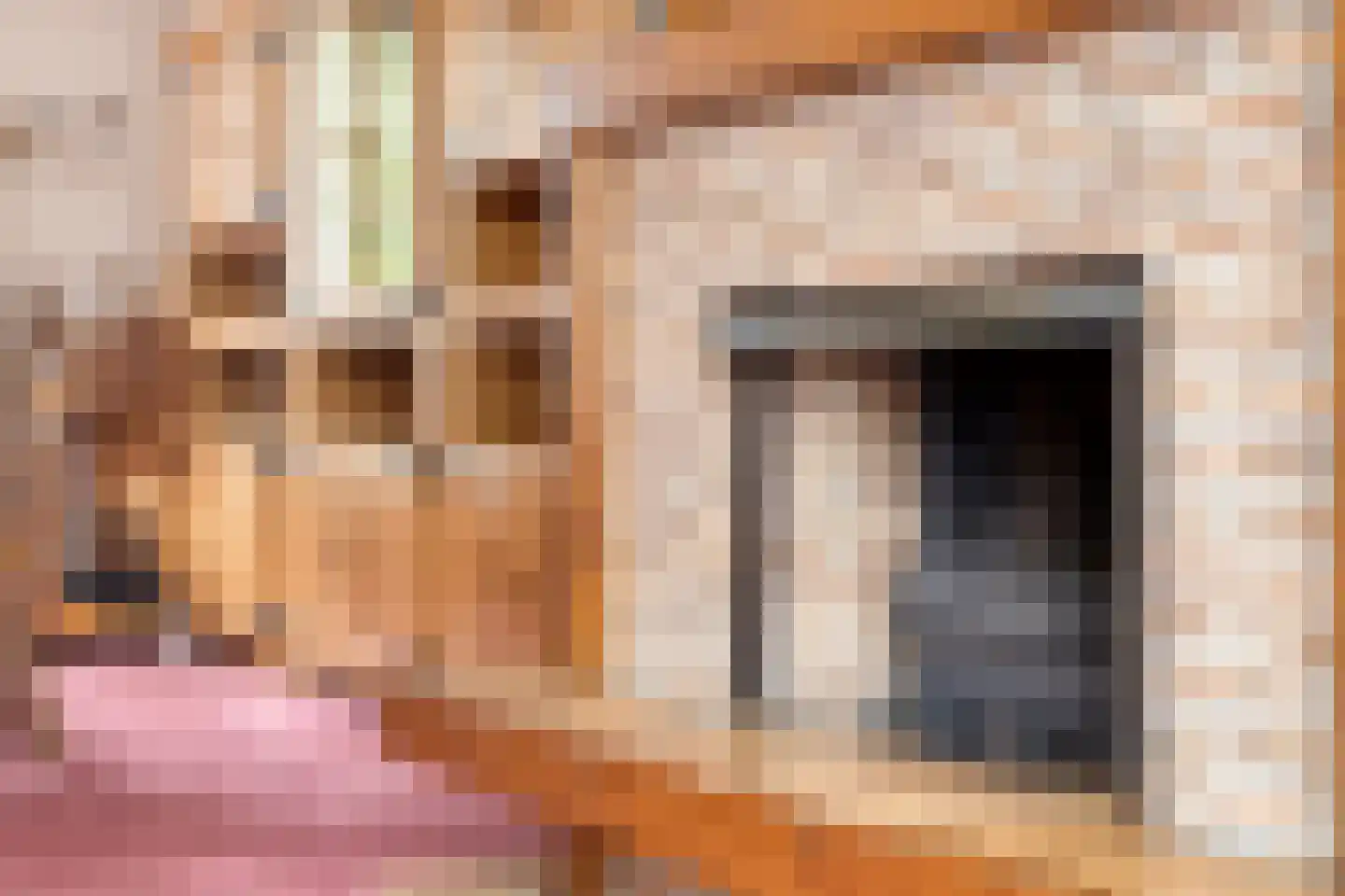 Willem Alexanderstraat 16 Kloosterzande thumbnail 6