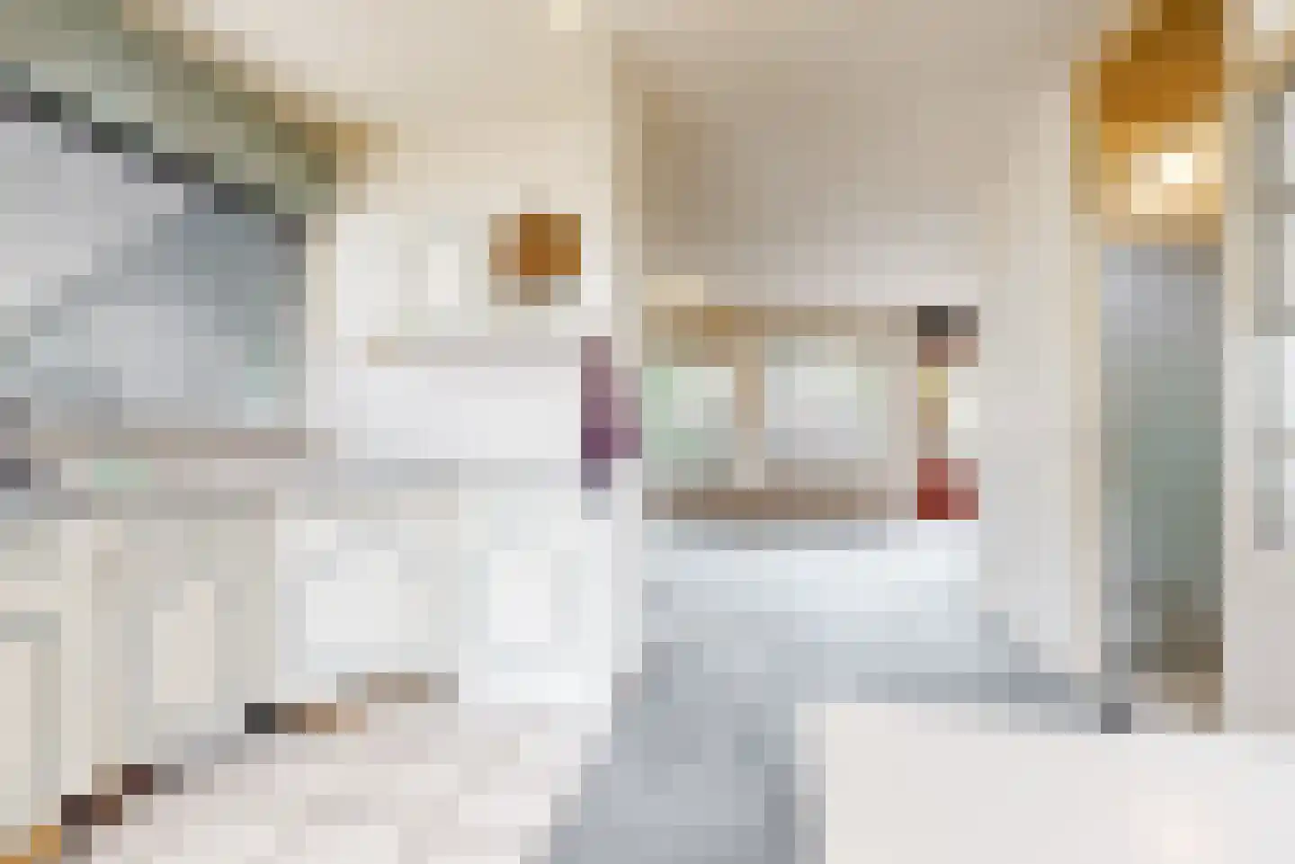 Willem Alexanderstraat 18 Zoeterwoude thumbnail 14
