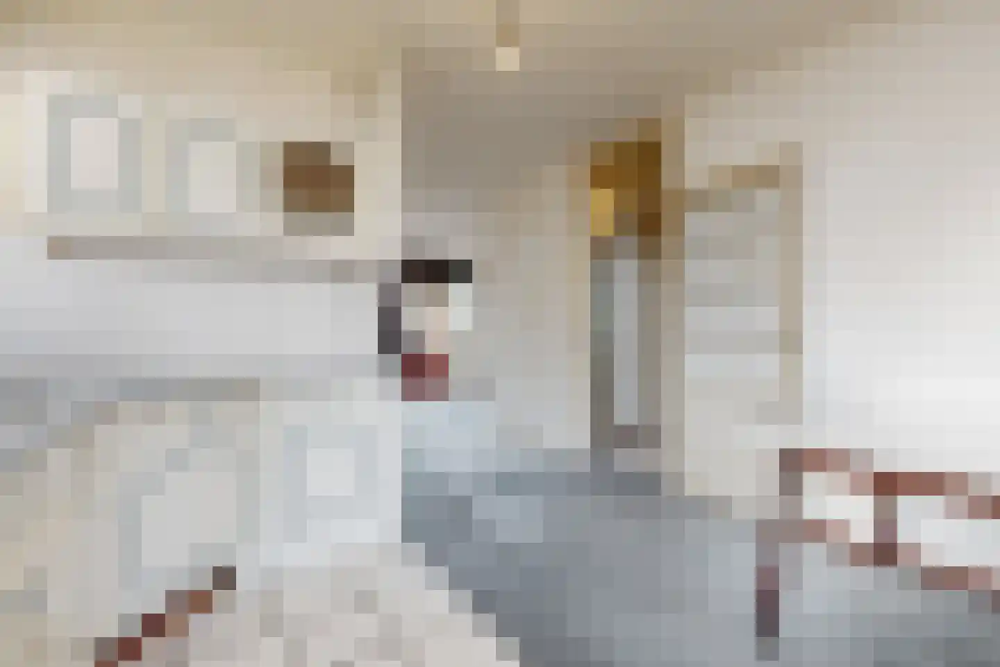 Willem Alexanderstraat 18 Zoeterwoude thumbnail 15