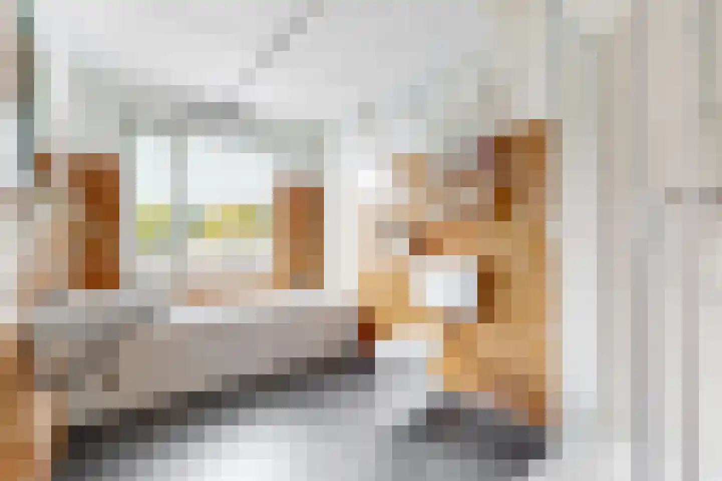 Willem Alexanderstraat 18 Zoeterwoude thumbnail 21