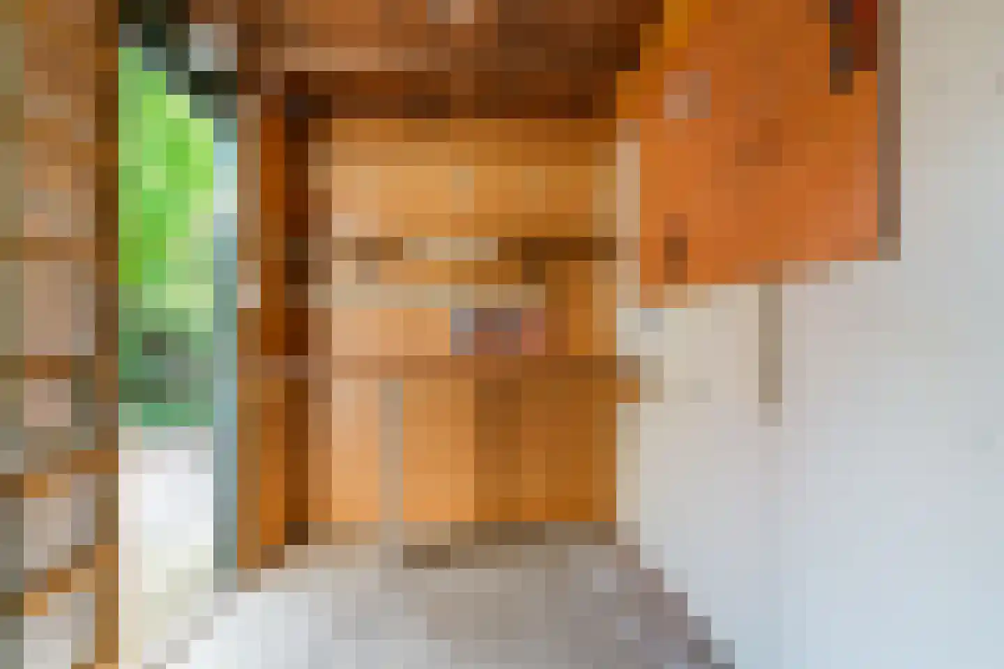 Willem Alexanderstraat 18 Zoeterwoude thumbnail 33