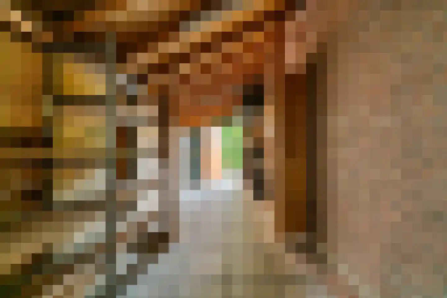 Willem Alexanderstraat 18 Zoeterwoude thumbnail 39