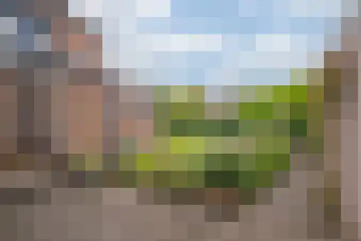 Willem-Alexanderstraat 2 Cadier en Keer thumbnail 18