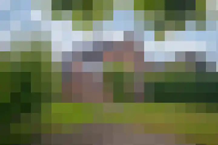 Willem-Alexanderstraat 2 Cadier en Keer thumbnail 20