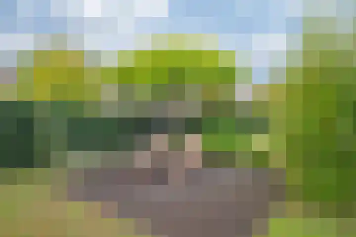 Willem-Alexanderstraat 2 Cadier en Keer thumbnail 21