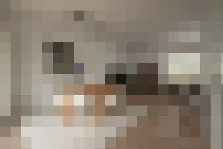 Willem-Alexanderstraat 2 Cadier en Keer thumbnail 7