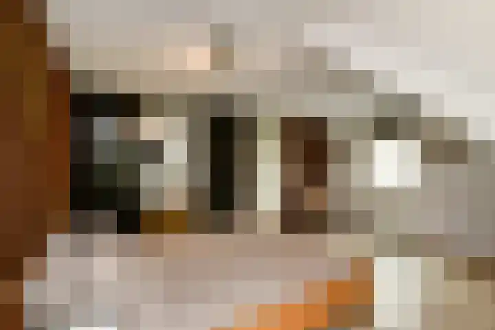Willem Alexanderstraat 21 Randwijk thumbnail 18