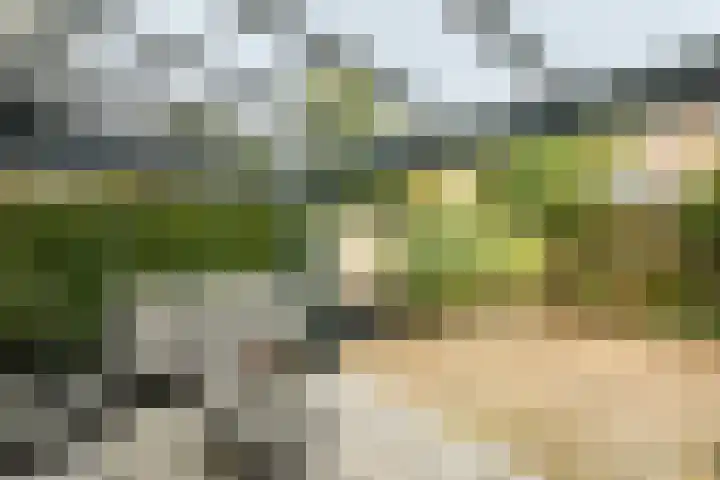 Willem Alexanderstraat 21 Randwijk thumbnail 34