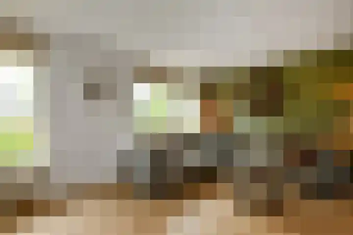 Willem Alexanderstraat 21 Randwijk thumbnail 4