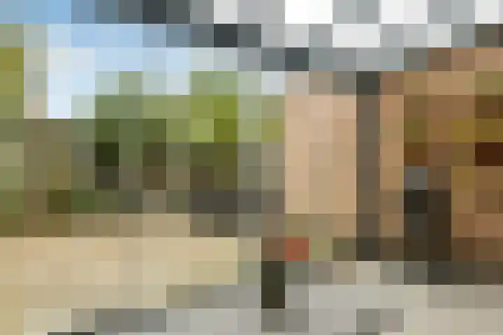 Willem Alexanderstraat 21 Randwijk thumbnail 41