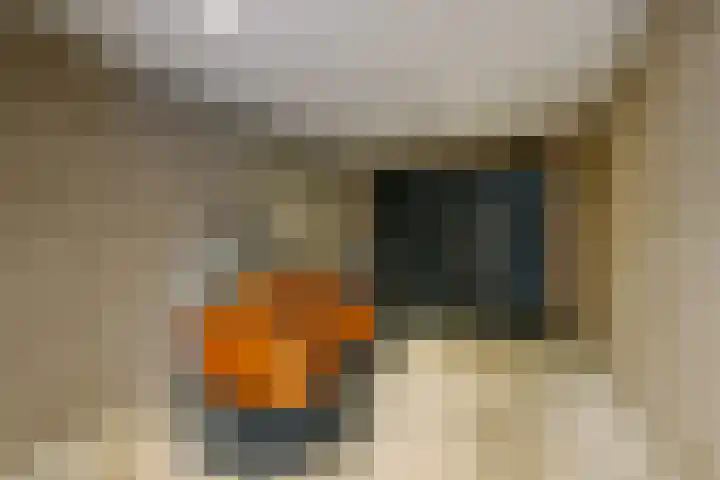 Willem Alexanderstraat 21 Randwijk thumbnail 44
