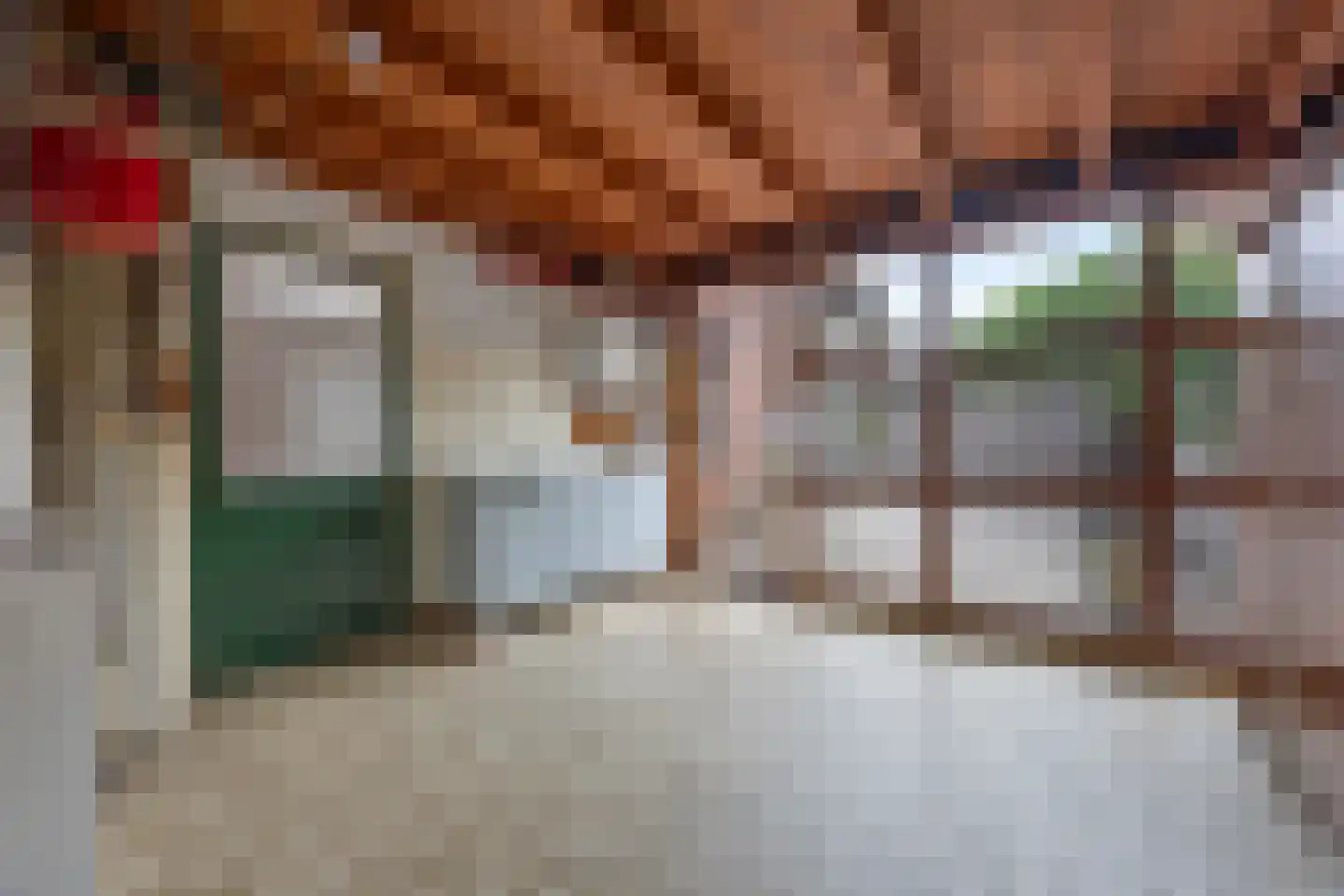 Willem Alexanderstraat 3 Drunen thumbnail 14