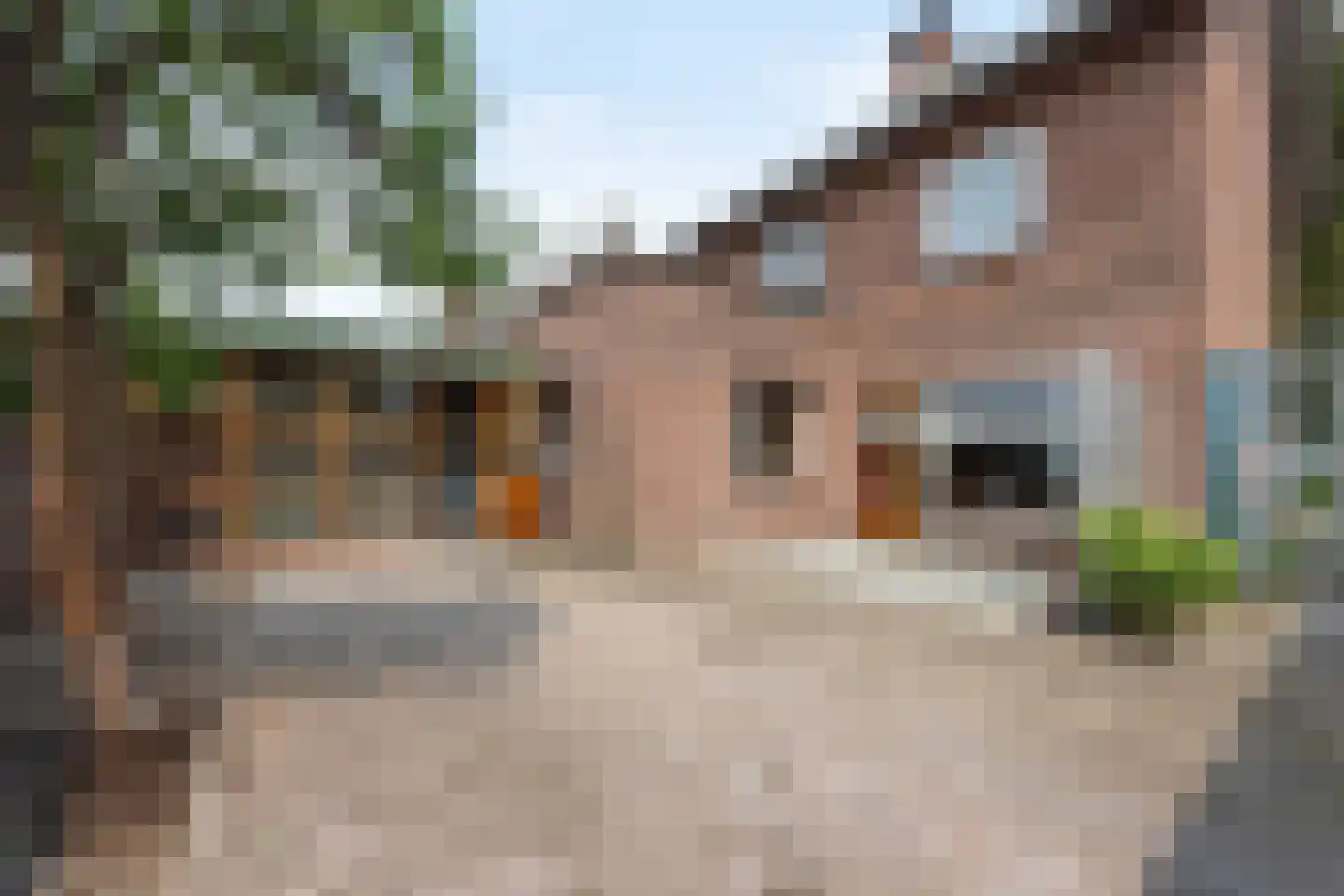 Willem Alexanderstraat 3 Drunen foto 2